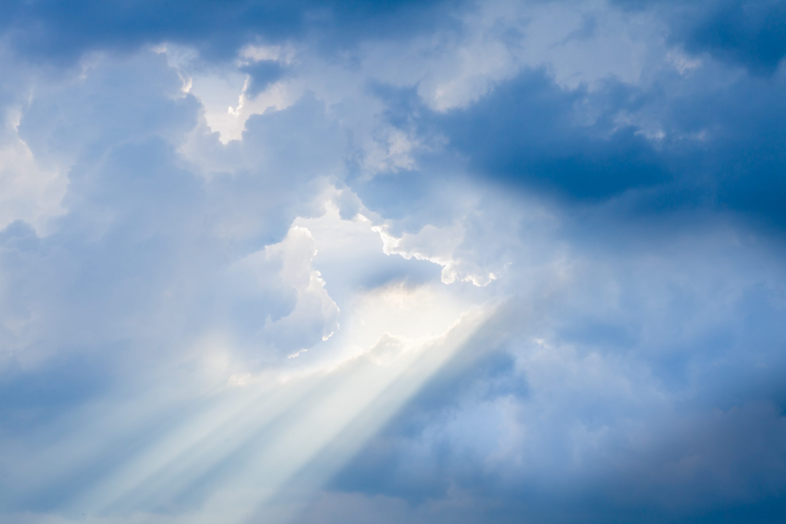 Sun Coast Christian Church, Myrtle Beach, SC, Church, Image